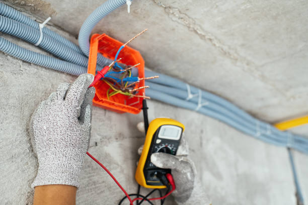 Best Home Electrical Repair  in Point Venture, TX